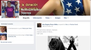 medulaparapaula talavera